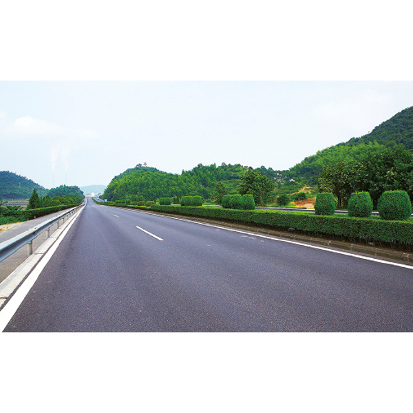 蘭溪市工人路道路工程